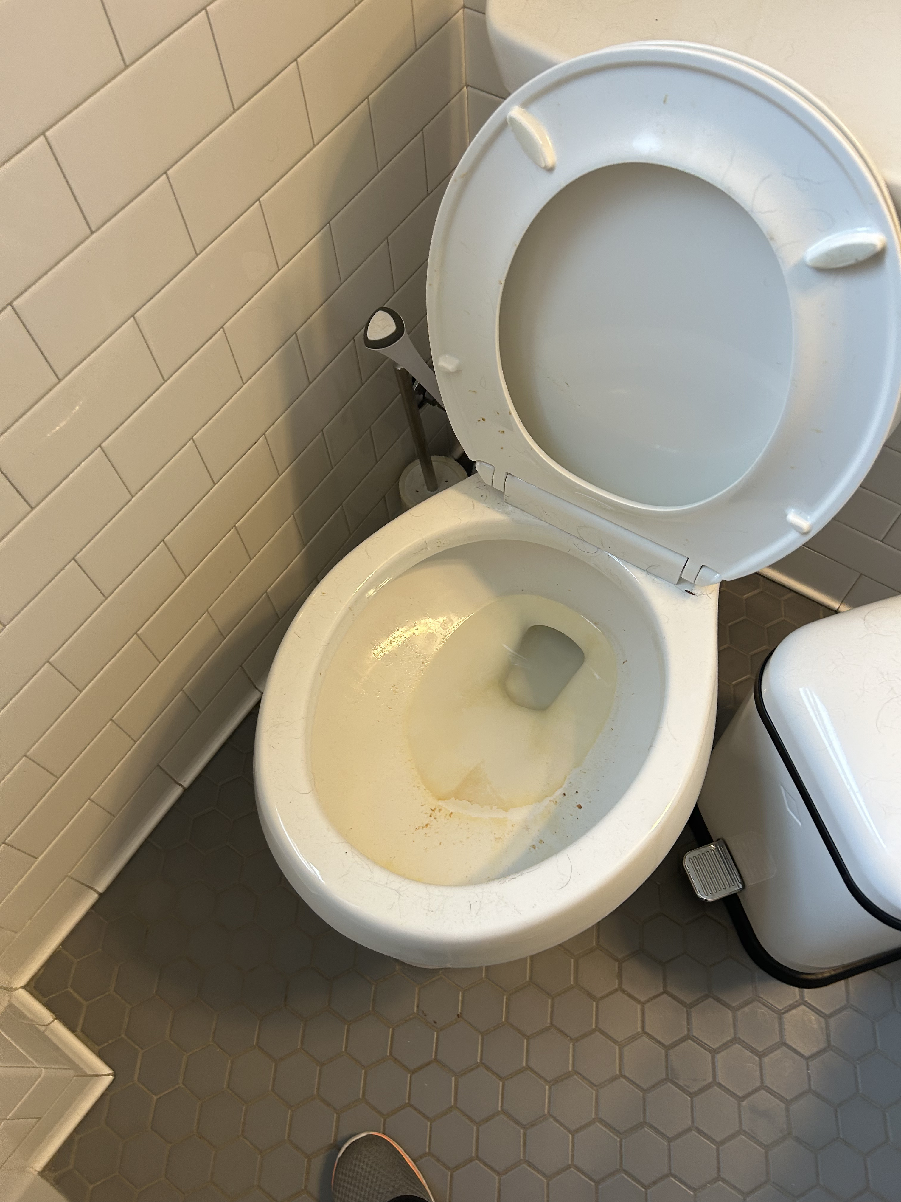 Dirty toilet before cleaning